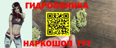 ешки Шебекино